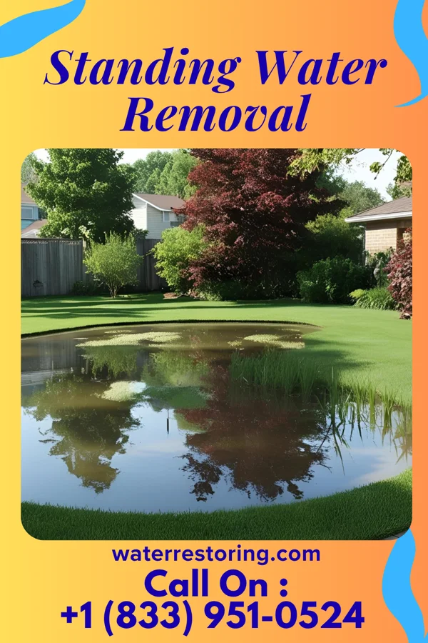 Standing Water Removal in Spillville, IA